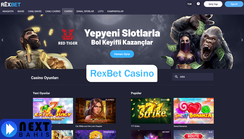 RexBet Casino