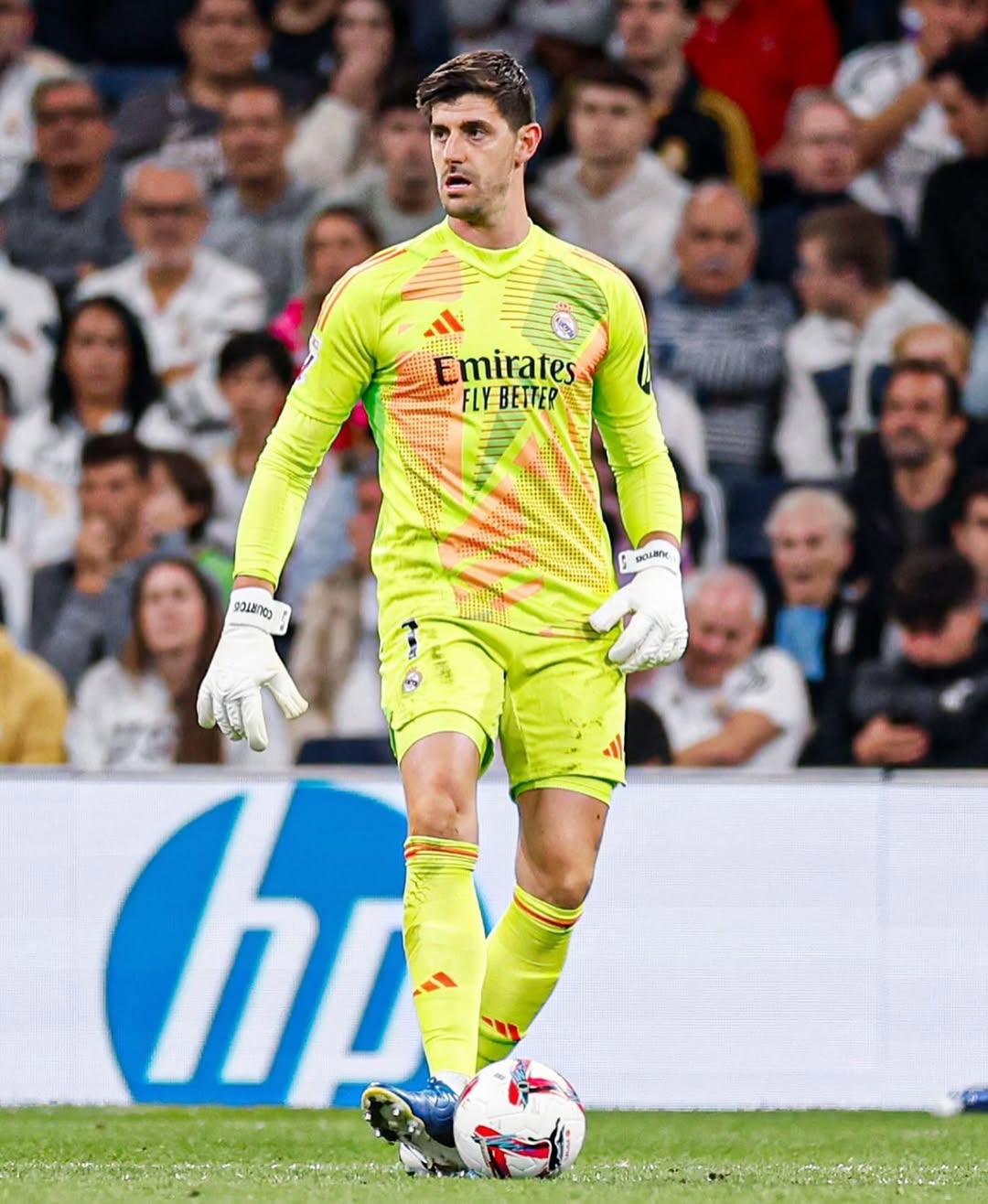 Courtois Boyu