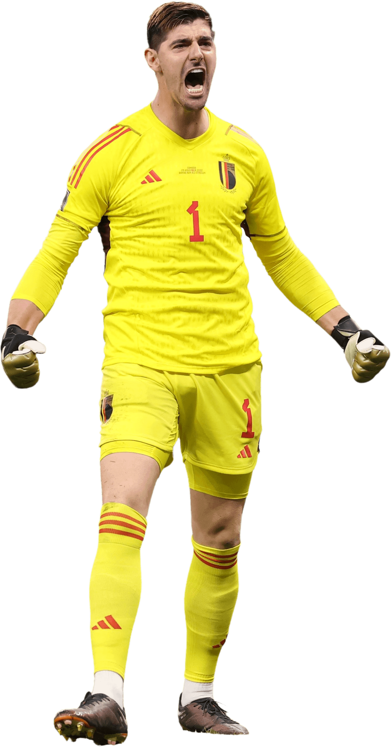 Thibaut Courtois Png 18