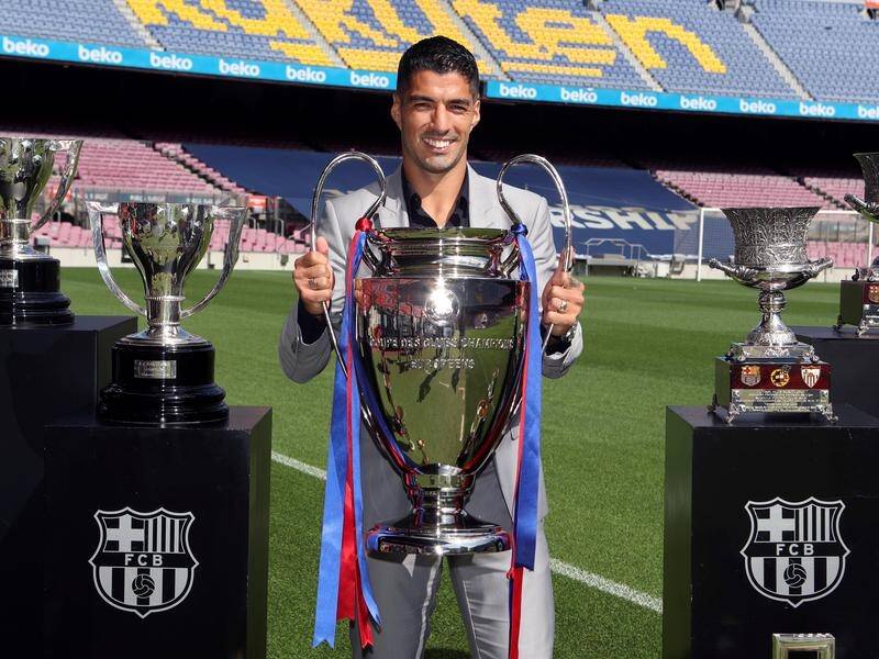 Luis Suárez Başarıları