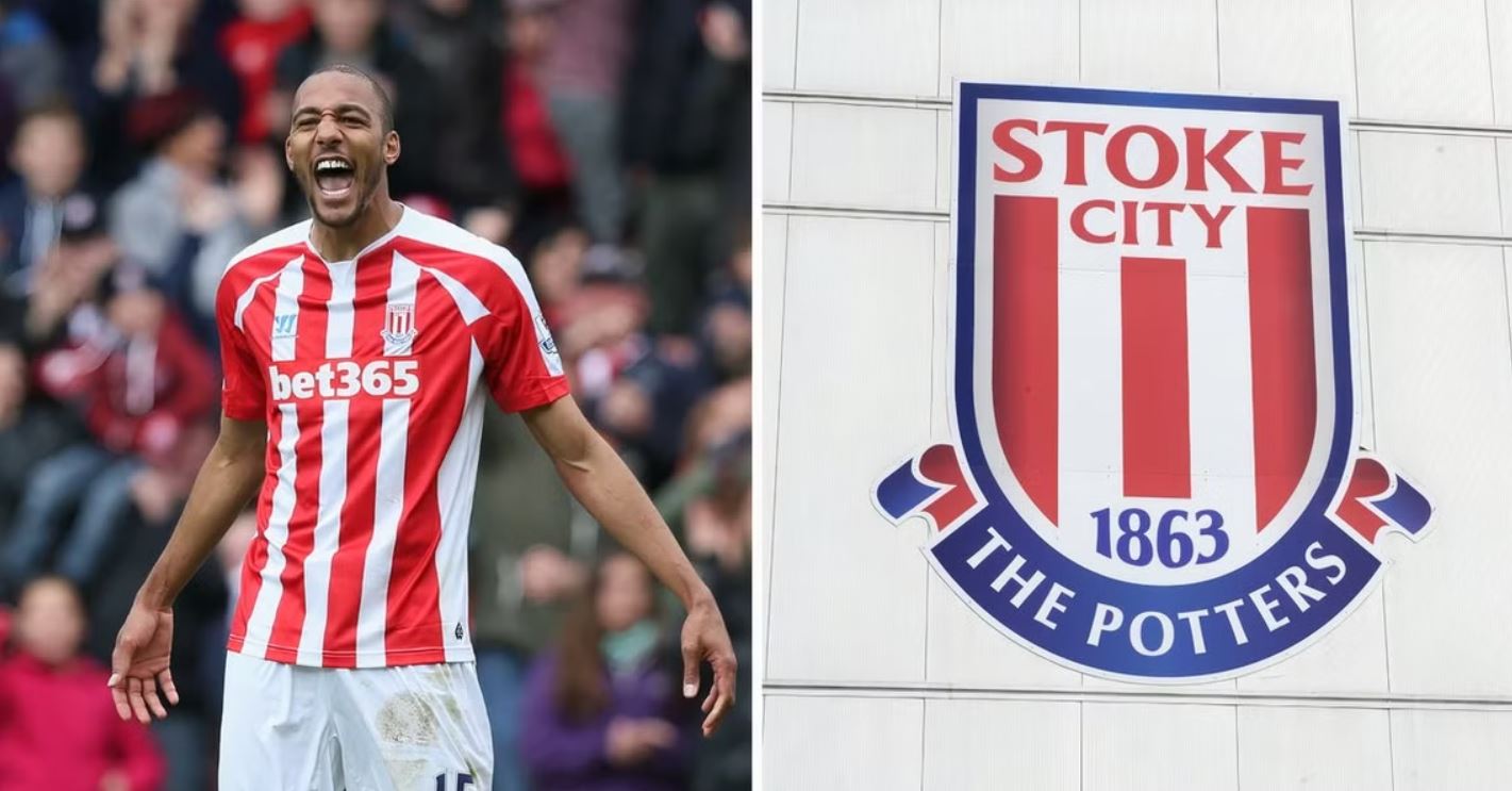 Steven Nzonzi Stoke City Dönemi